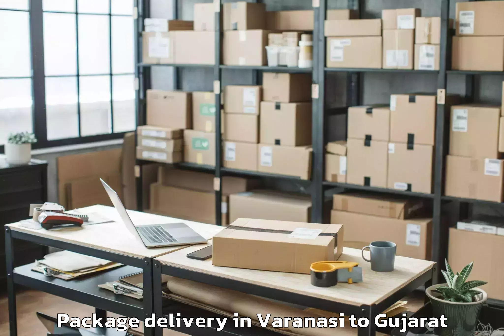 Professional Varanasi to Thasra Package Delivery